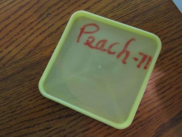 Peach 71: label on plastic freezer container lid.